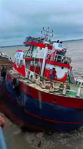 SeaLife SailorLife: Authentic ShipLife Ocean Vibes