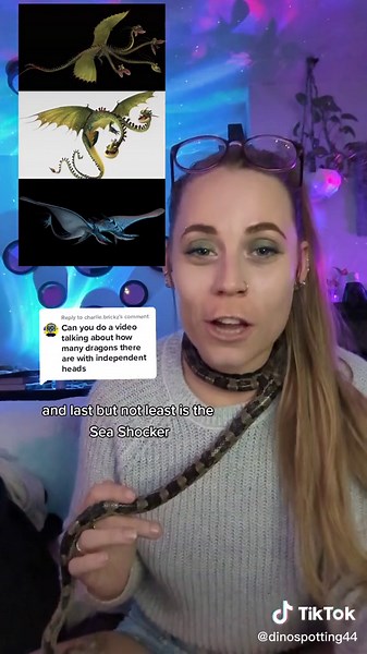 Dragons with Multiple Heads - How to Train Your Dragon