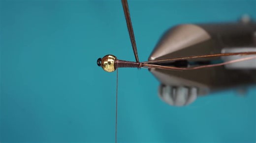 129K views · 941 reactions | Tying The Secret NYMPH That Made Edgardo Dona a World Champion! This particular pattern, a variant of the Pheasant Tail (PT), is one of Edy's celebrated designs that have helped him secure numerous titles, including World, Italian, and European Champion! | Trout Line | Facebook