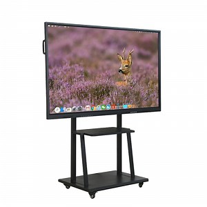 [Hot Item] Advanced Interactive Touch Screen LED Display for Classrooms