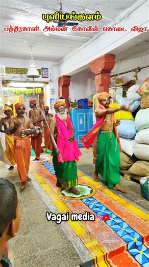 வாகைபதி அய்யாவின் அருள் தங்கை புளியங்குளம் தேவி ஸ்ரீ பத்திரகாளி அம்மன் கோவில் கொடை விழா 🙏