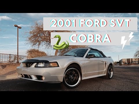 Introducing my 2001 Mustang SVT Cobra!