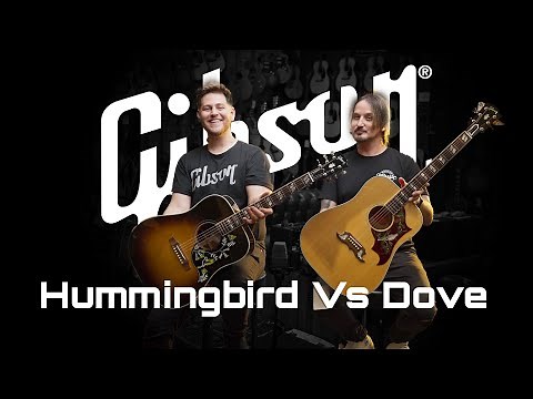 Gibson Dove vs Hummingbird | Mooloolaba Music