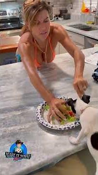 🐾 Healthy lunch for Stella #maryburke #themaryburke