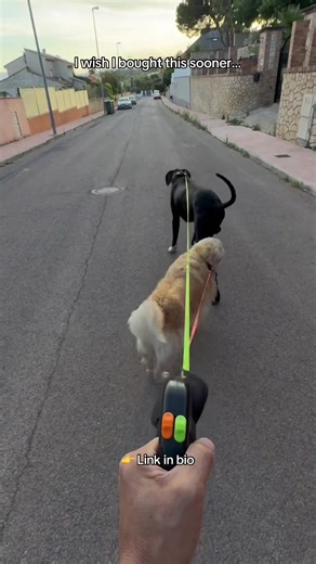 Walking two dogs used to be stressful 😩 Tangled leashes, no control, zero patience. This fixed all of that. 🔗 Link in bio #twodogs #dogowners #dogwalking #petlife