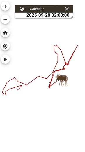 During last year’s mating season (also called the rut), these moose spent a magical six days together before going their separate ways. Do you think they “moose” each other? 🥺🫎 During the rut — which begins in early September and lasts for several weeks — moose definitely go all in. You can expect to hear both bulls and cows grunting and getting extra…ahem….aggressive, if you catch our drift (bow chicka wow wow). 🔥 After that, hopefully nature takes its course and the female gives birth to a 