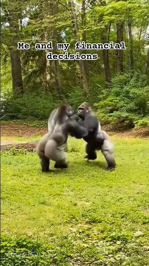 When Gorillas Forget They’re Serious Animals 🦍 #animal #zoo