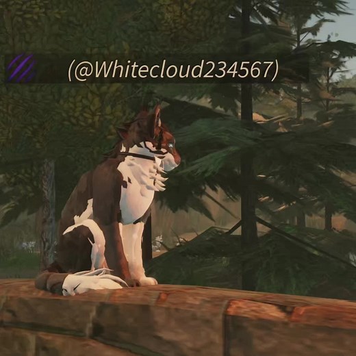 Warrior Cats Ultimate Edition Update Concerns