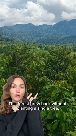 Zero trees planted 🌳