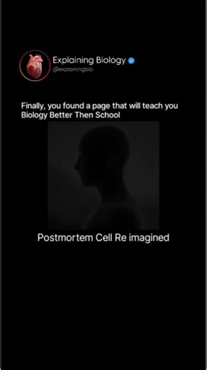 Explaining Biology on Instagram: "Postmortem cell changes refer to the microscopic transformations that happen in human cells after death, when oxygen supply stops and the internal environment collapses, causing energy failure, swelling, membrane breakdown, and eventually complete disintegration of cellular structures; enzymes inside the cells start digesting them from within (autolysis), while surrounding bacteria accelerate decomposition, changing the shape, texture, and appearance of tissues.