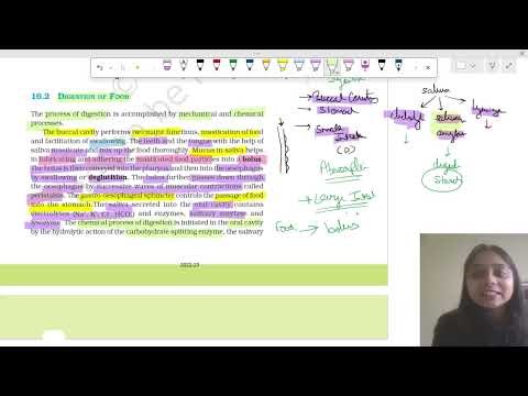 Digestive System NCERT 11th Class| Part 3 Digestion of food