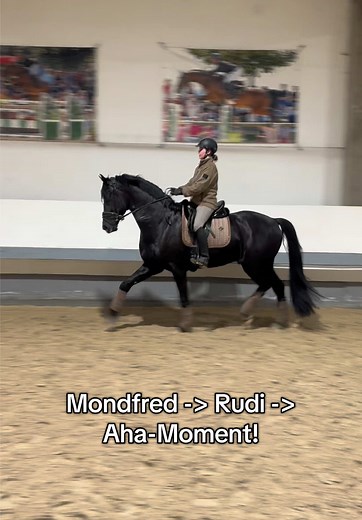 Fibi und Mondfred: Reiten und Simulator-Training erleben