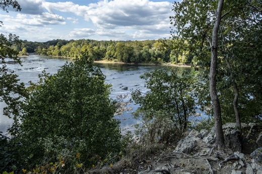 Scott’s Run Nature Preserve will close this spring for another sewer project | FFXnow
