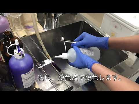 グラム染色の実際②（染色工程）