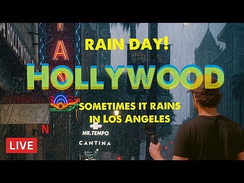 LIVE Hollywood Blvd Rain Walk | Los Angeles Live Cam