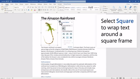 Wrap text around a picture in Word