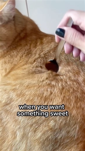 when you want something sweet🥰🤤🍽️