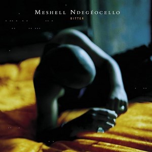 Meshell Ndegeocello – Fool of Me