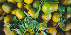 Varietas Jeruk Keprok Unggulan Indonesia, Apa Saja?