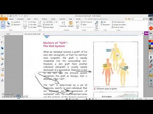 Types of grafting Grade 8