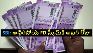 SBI Amrit Kalash FD Scheme: అత్యధిక వడ్డీ రేటు అందించే ఎస్బీఐ ఫిక్స్‌డ్ డిపాజిట్ స్కీమ్‌కి రేపే లాస్ట్ డేట్