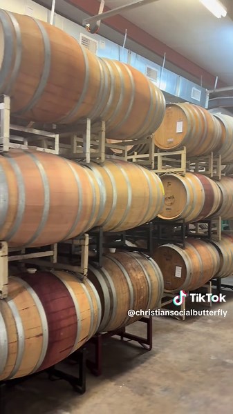 ChristianSocialButterfly on TikTok