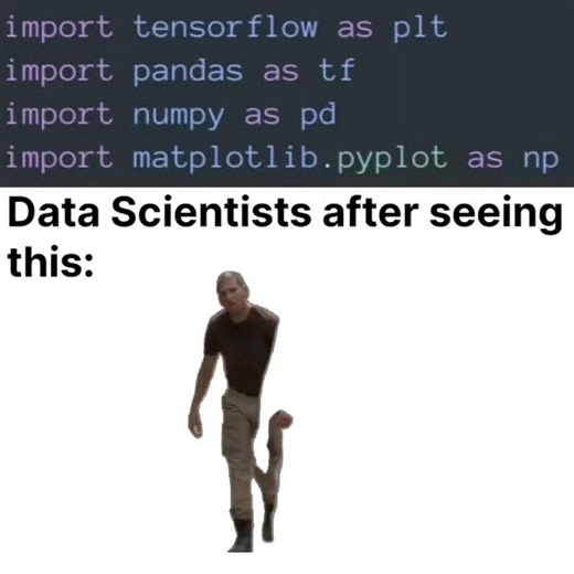 Tech Memes on Instagram: "Every Data Scientist felt this pain 💀 One wrong import And suddenly… we’re not friends anymore. #Datascience #datascientist #dataanalytics #machinelearning #deeplearning #programmerhumor #techmemes #codinglife #relatablememes #reelsinstagram #memes"
