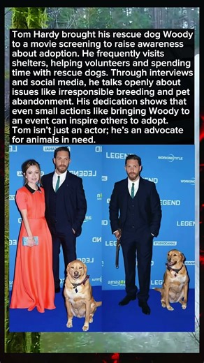 This Celebrity Uses His Fame to Save Dogs