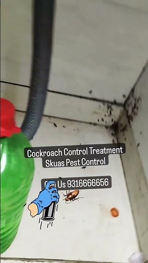 Cockroach Control Treatment | How to get rid of cockroaches #pestcontrol #kitchen #cockroachcontrol
