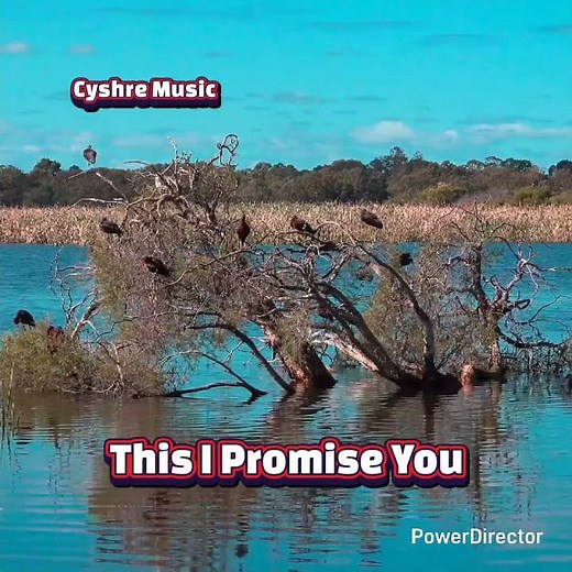 This I Promise You Song by NSYNC