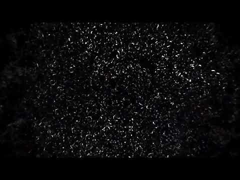 All of Us Are Dead | Opening Intro