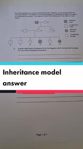 Understanding Mendel's Laws of Inheritance in Biology