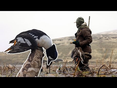 Diver Duck Hunt on the River (Catch Clean Cook!) | 3-Hour Duck Slam!