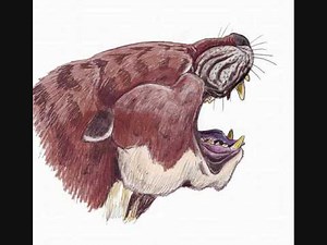 Tribute to Creodonts