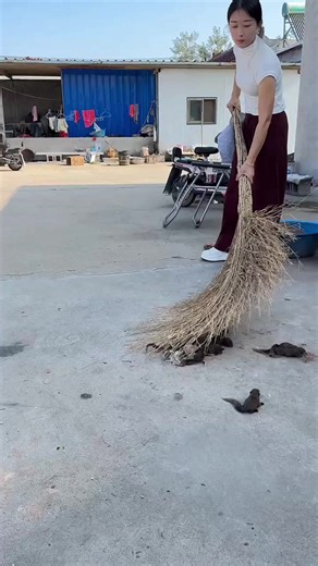 52K views · 223 reactions | A cute little red-headed mouse held in the palm of your hand part 103 | Cute animal | Facebook