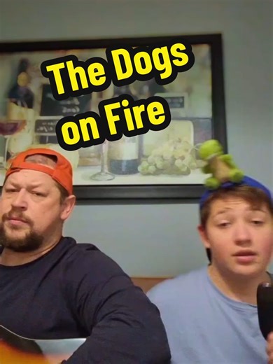 Dogs on Fire: Hilarious Comedy Skit for New Year
