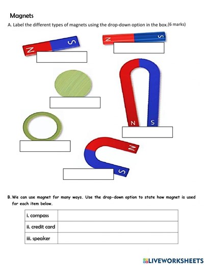 Magnet interactive worksheet for Grade 5