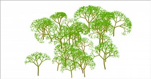 python turtle demo解析——森林（forest）