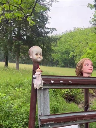 When you’re introverted AF and don’t want people on your property 🤣