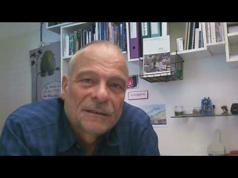 Kinaesthetics Grundkurs-Lernphasen