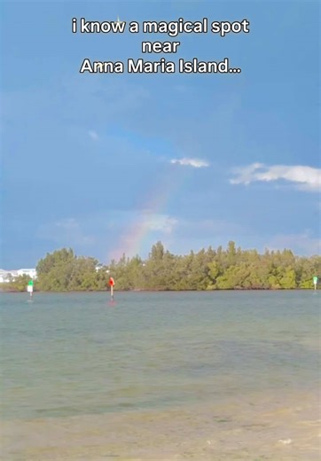 “I know a spot…” 👀 Sunset kayaking in clear kayaks near Anna Maria Island… and sometimes the water reveals amazing creatures like this lightning whelk. Did you know that the Lightning Whelk is Florida’s state shell? One of the coolest hidden experiences on the Gulf Coast. #GlowBoats #AnnaMariaIsland #BradentonFlorida #ClearKayak #LightningWhelk