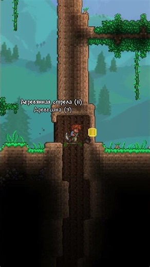 Пов: призыватель🐦 #terraria #подпишись #гайд #призыватель