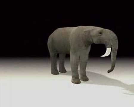 Prehistoric Documentary