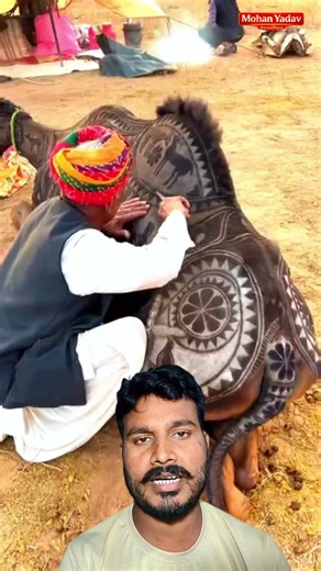 अद्भुत नजारा राजस्थान मे देखने को मिला 😱