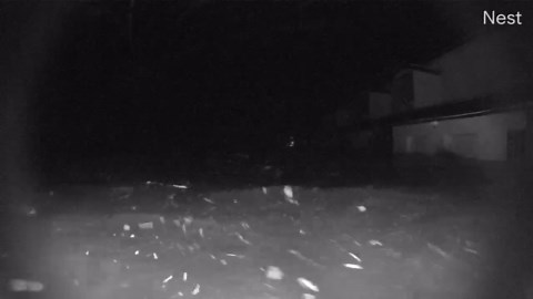 Watch: Storm surge closes in on elevated camera in Cedar Key, Florida