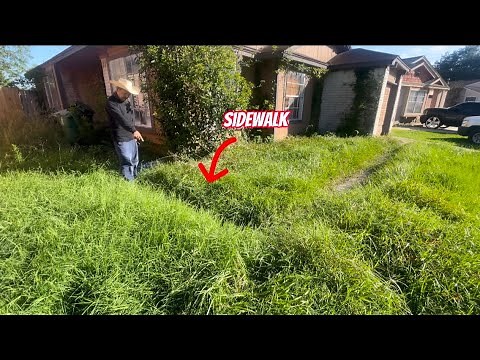 The ENTRANCE To This House HASN’T Been SEEN IN YEARS