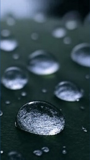 Debunking the myth: The real shape of raindrops revealed
