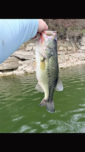 Bass Fishing Motivation with Gary Duty