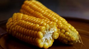 2 Clever Ways to Keep Your Corn Cobs Lasting Months