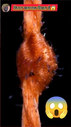 Thread Under Heat Gets Absolutely Nightmarish #microscope #science #shorts